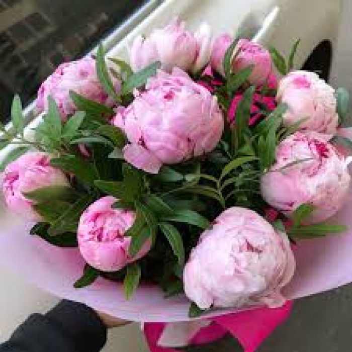 Пион древовидный в Темиртау