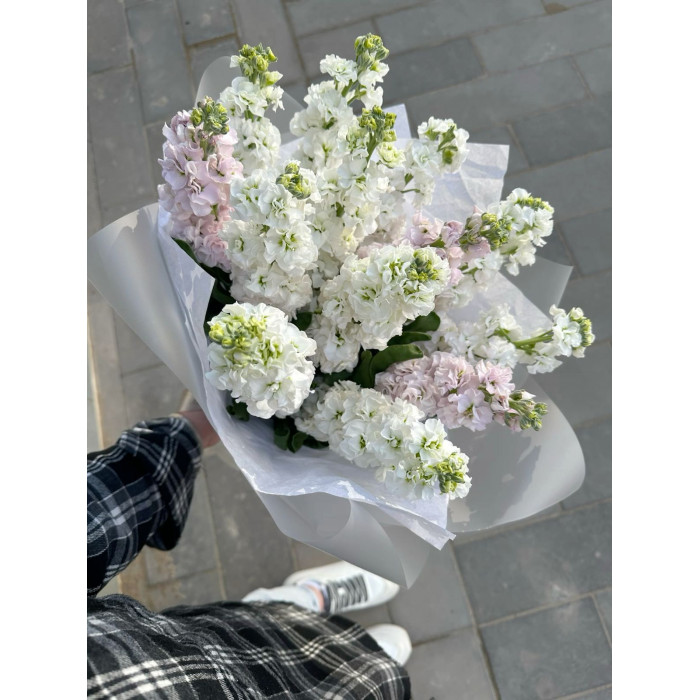 Маттиола в Темиртау