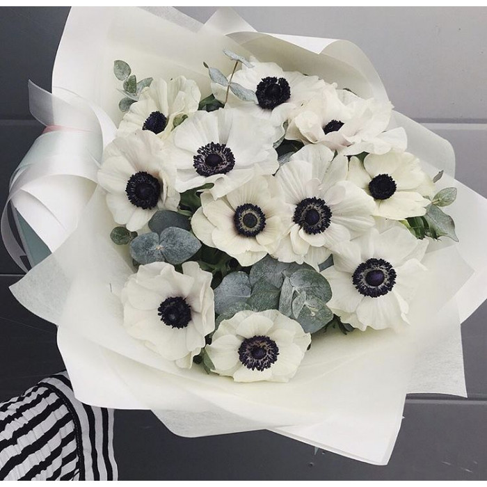 Анемоны в Темиртау