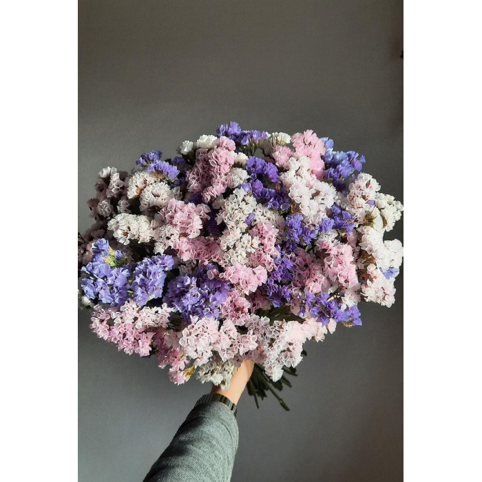 Статица (Лимониум) в Темиртау