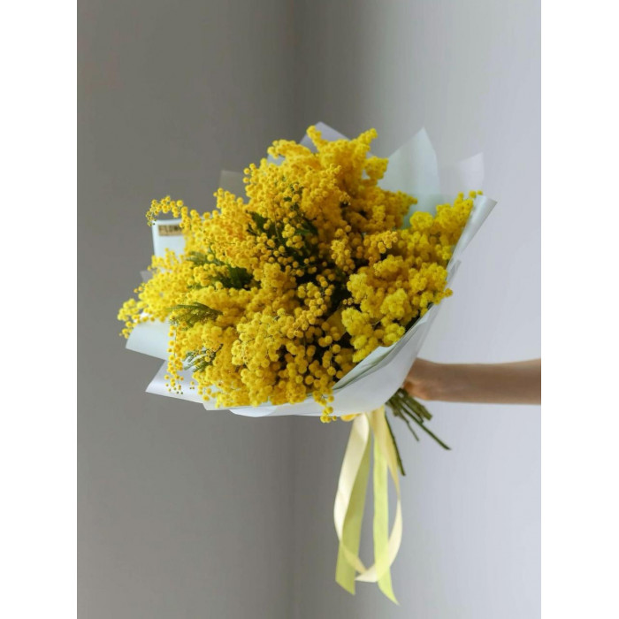 Мимоза в Темиртау