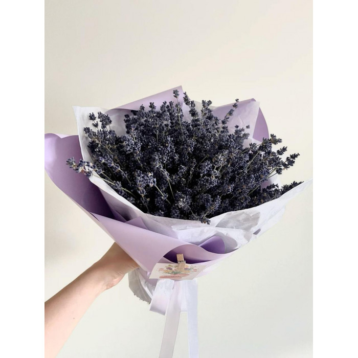 Лаванда в Темиртау