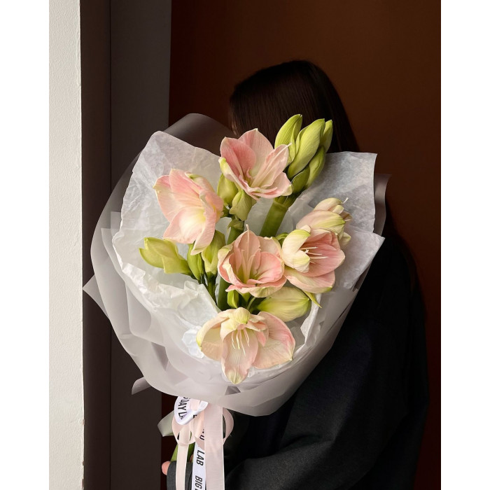 Амариллис в Темиртау