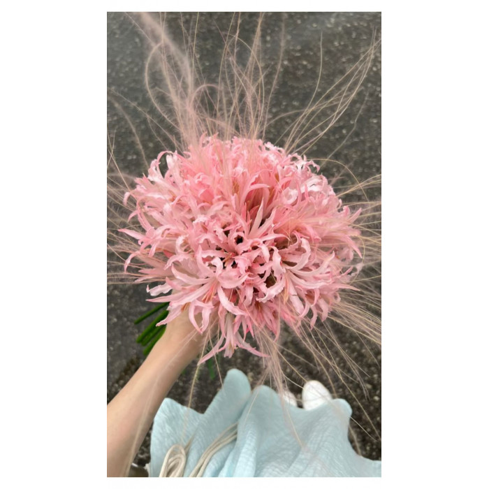 Нерине в Темиртау