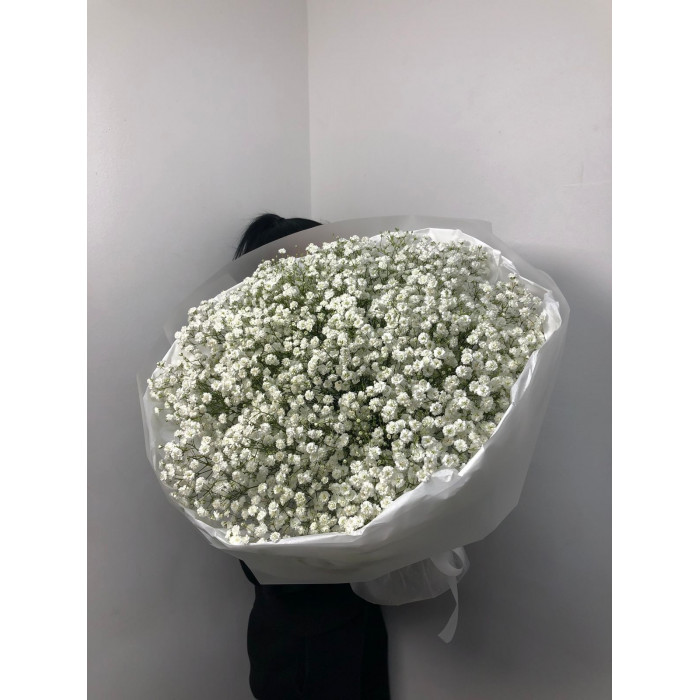 Гипсофила классическая в Темиртау