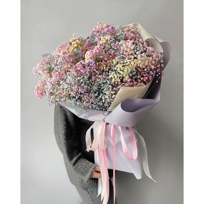 Гипсофила цветная в Темиртау