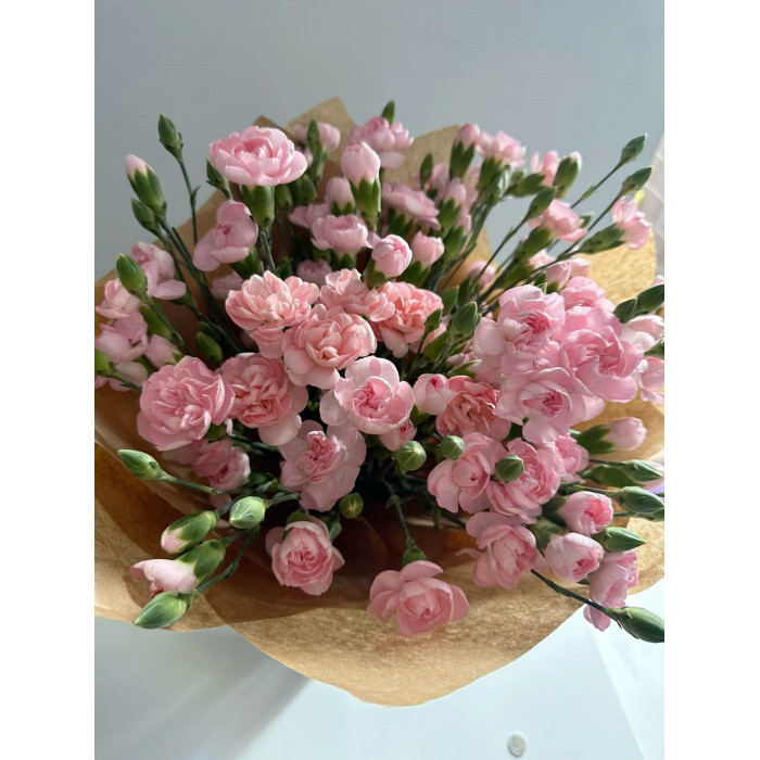 Кустовые гвоздики в Темиртау