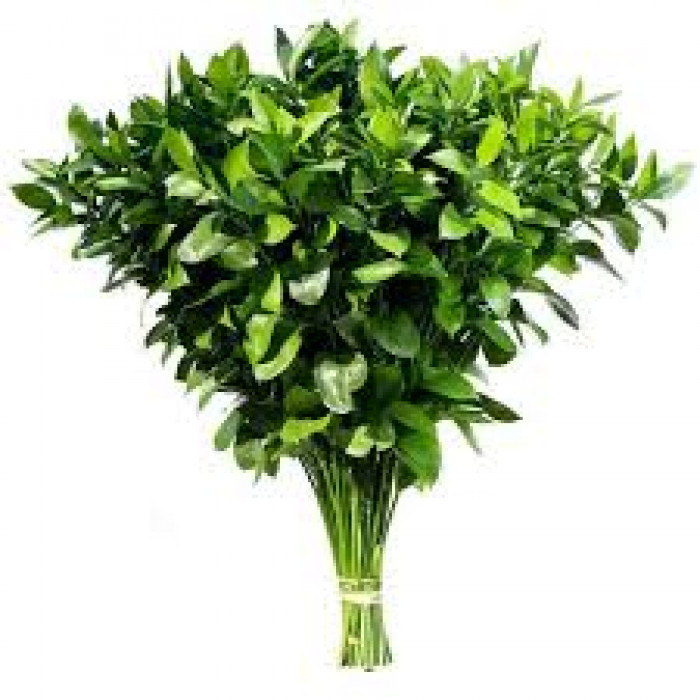 Рускус в Темиртау