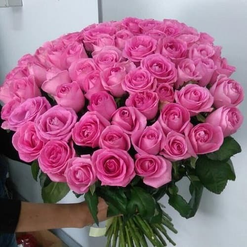 Купить на заказ Букет из 75 розовых роз с доставкой в Темиртау
