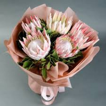 Букет из протеи